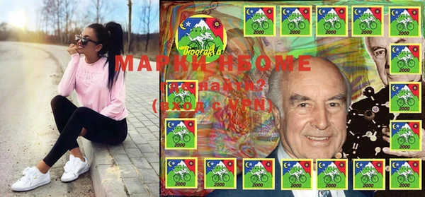 стаф Алзамай
