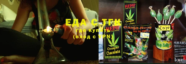 стаф Алзамай