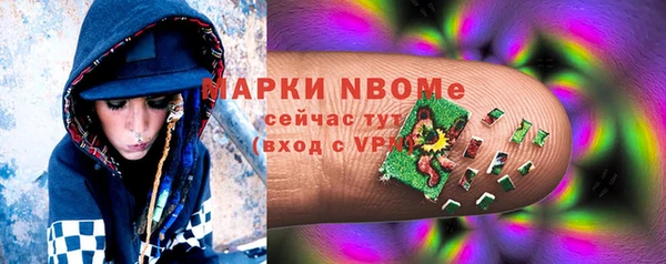 стаф Алзамай